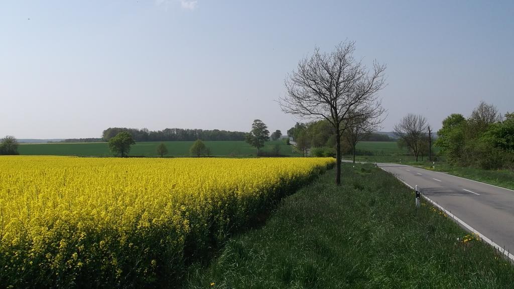 Nigel Restaurant & Hotel Im Wendland Bergen an der Dumme Exteriör bild